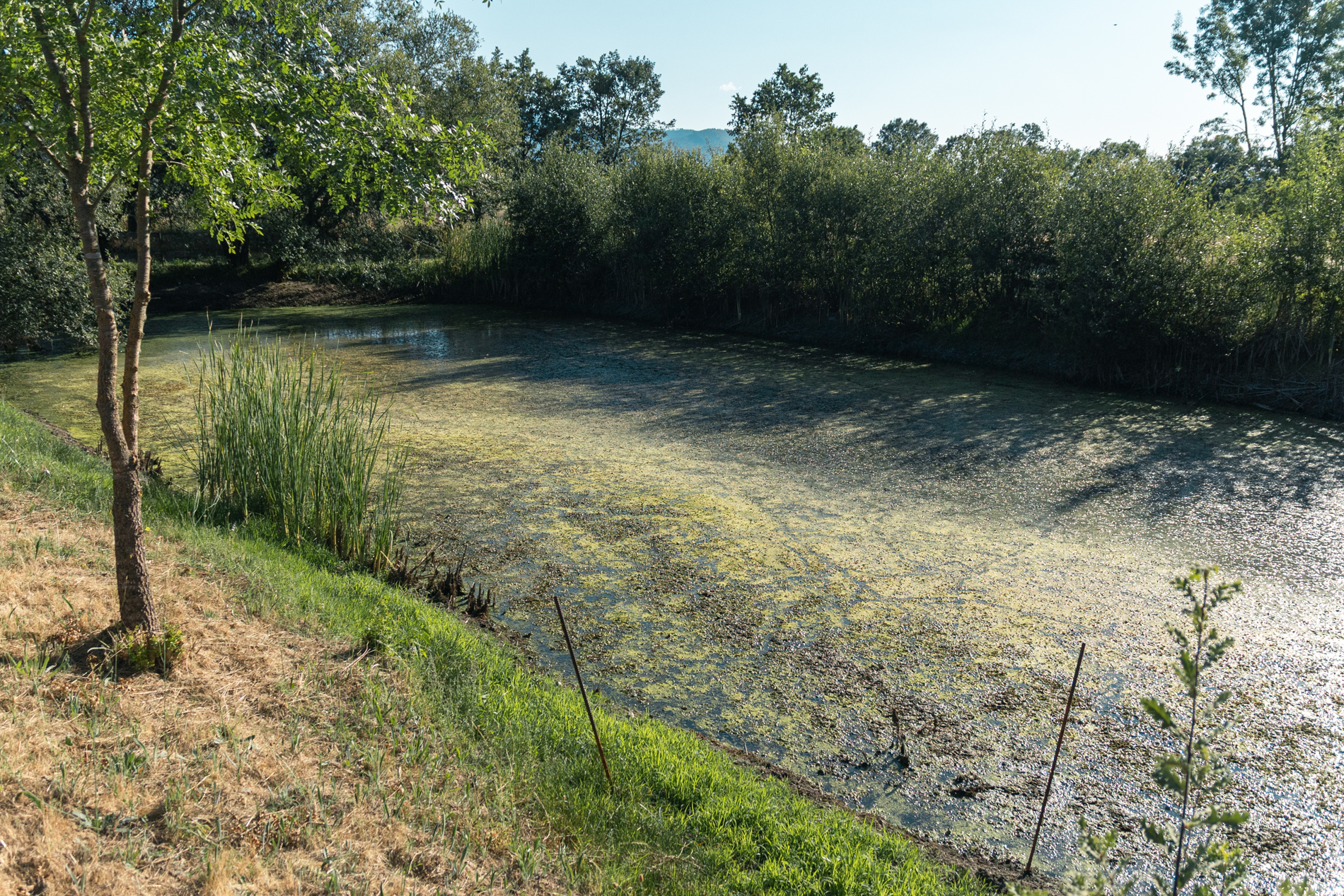 Jardins e lago